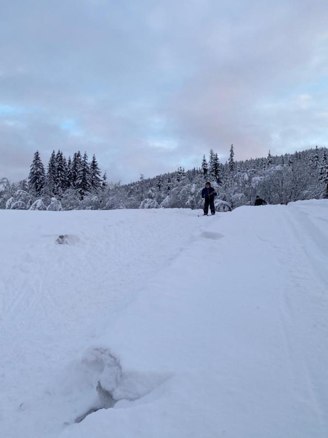 Tuddal Hyttegrend, Gamlestugu, Telemark ภายนอก รูปภาพ